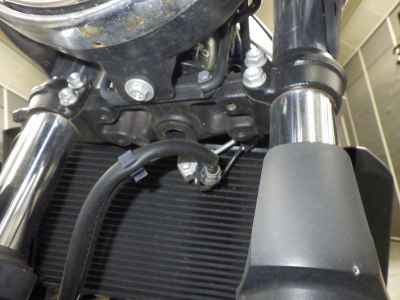 Suzuki SV650X 2019