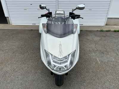 Yamaha “MAG-ZAM 250 Trike ” 2007