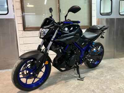 Yamaha MT-25 2017