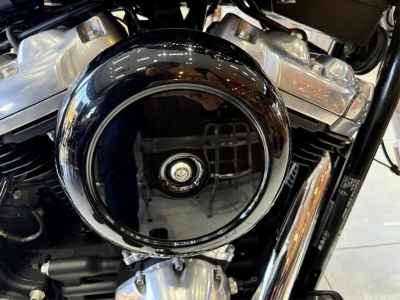 Harley-Davidson Softail FXST 2020