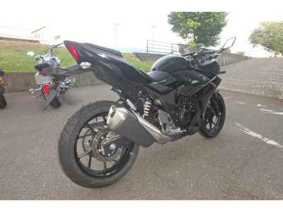 Suzuki GSX250R