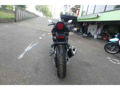 Suzuki GSX250R