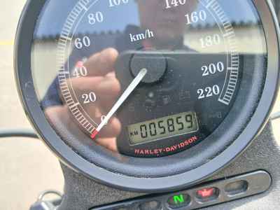 Harley-Davidson Sportster Iron XL883N 2013