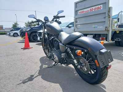 Harley-Davidson Sportster Iron XL883N 2013
