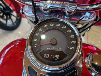 Harley-Davidson FLI 2024