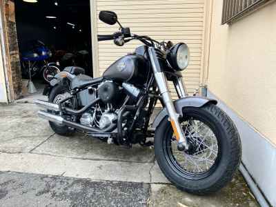 Harley-Davidson Slim FLS1580 2014