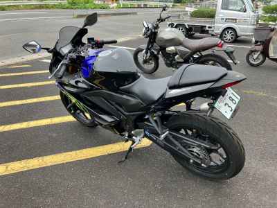 Yamaha YZF-R3 2019