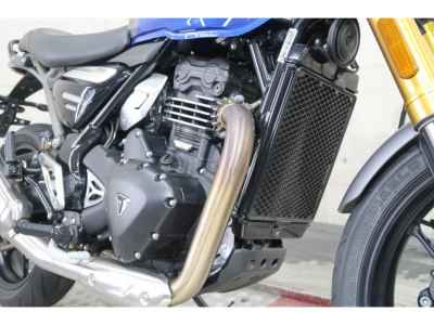 Triumph Speed 400 2025