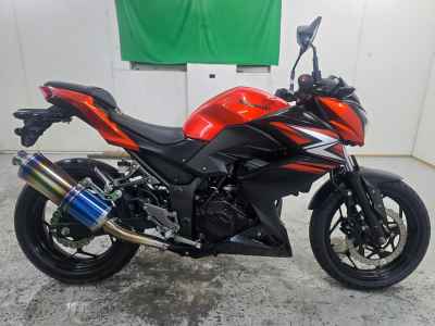 Kawasaki Z250 2014