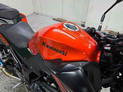 Kawasaki Z250 2014