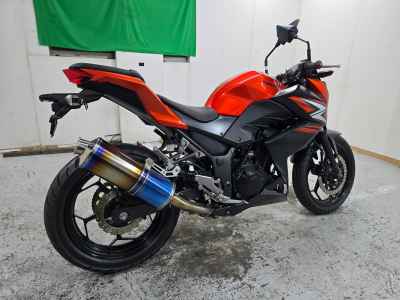 Kawasaki Z250 2014
