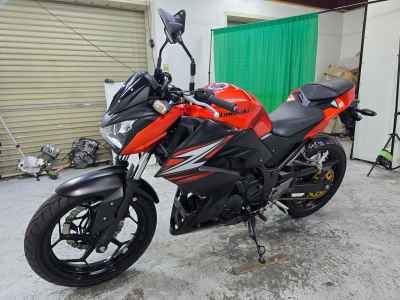 Kawasaki Z250 2014