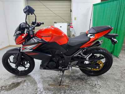 Kawasaki Z250 2014