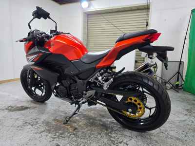 Kawasaki Z250 2014