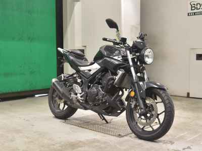 Yamaha MT-25 2016