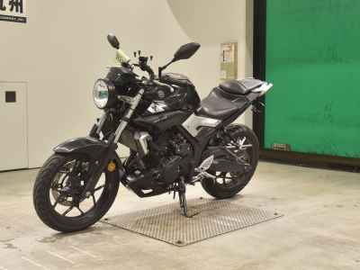 Yamaha MT-25 2016