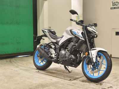 Yamaha MT-25 2025