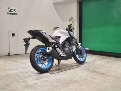 Yamaha MT-25 2025