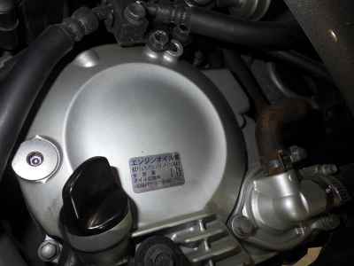 Honda Forza Z 2009