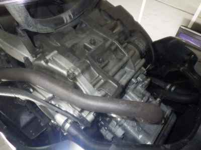 Honda Forza Z 2009