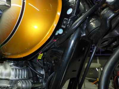 Kawasaki W800 2011