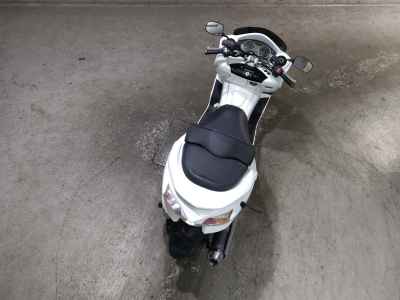 Honda Forza Z
