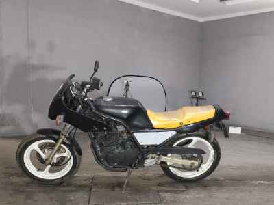 Yamaha SRX250