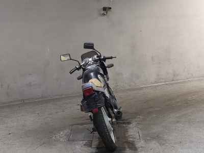 Yamaha SRX250