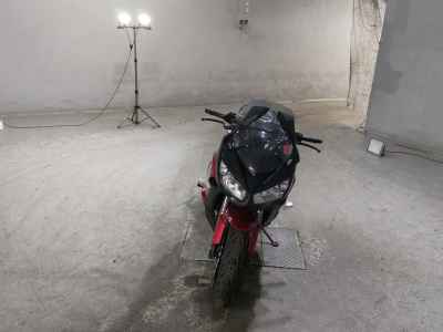 Kawasaki Ninja 1000 2015