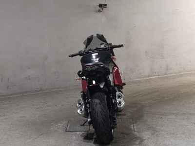 Kawasaki Ninja 1000 2015