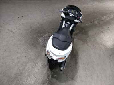Honda Forza 2009