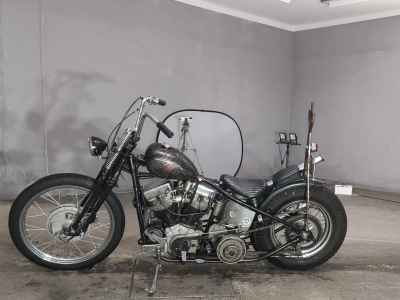 Harley-Davidson EL1000 2022
