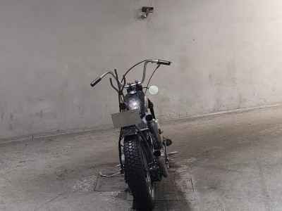 Harley-Davidson EL1000 2022