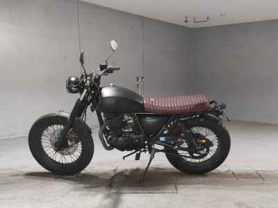 MUTT MONGREL 250 2019