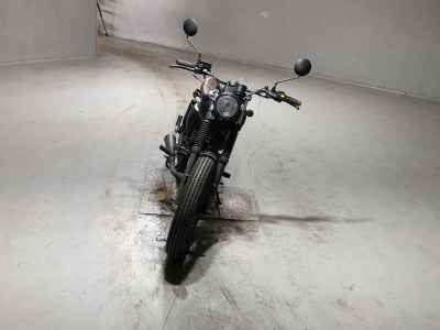 MUTT MONGREL 250 2019