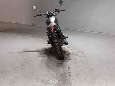 MUTT MONGREL 250 2019
