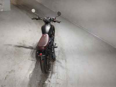 MUTT MONGREL 250 2019