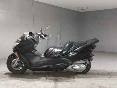 Honda Forza Z 2005