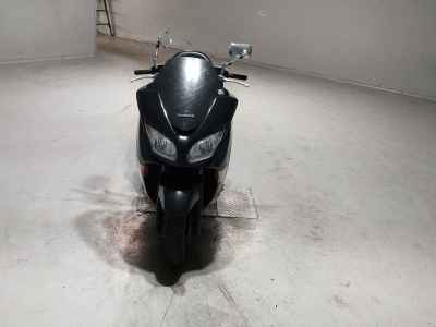 Honda Forza Z 2006