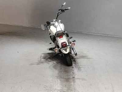 Yamaha XVS250 Drag Star