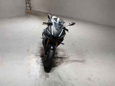 Yamaha YZF-R3 2019