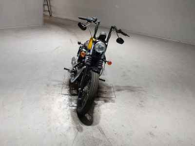 Harley-Davidson Sportster XL1200N 2010