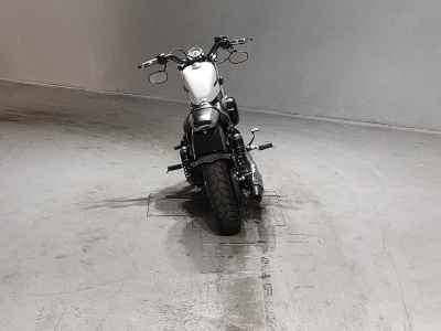 Harley-Davidson Sportster Forty-Eight XL1200X 2019