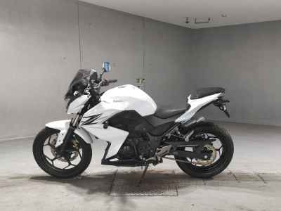 Kawasaki Z250 2013