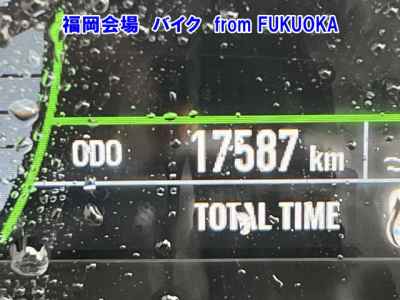 Kawasaki Ninja ZX-4R 2024