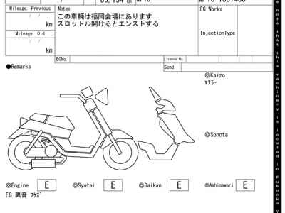 Honda Forza Z 2011