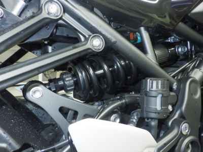 Kawasaki Z900RS Cafe 2021