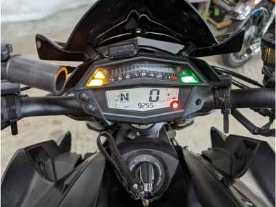 Kawasaki Z1000 2019
