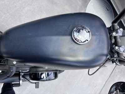 Harley-Davidson Sportster Iron XL883N 2018