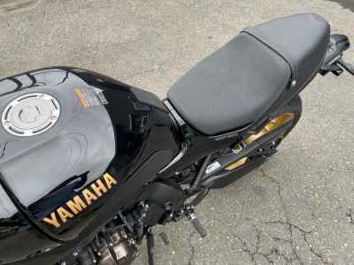 Yamaha XSR900 2025